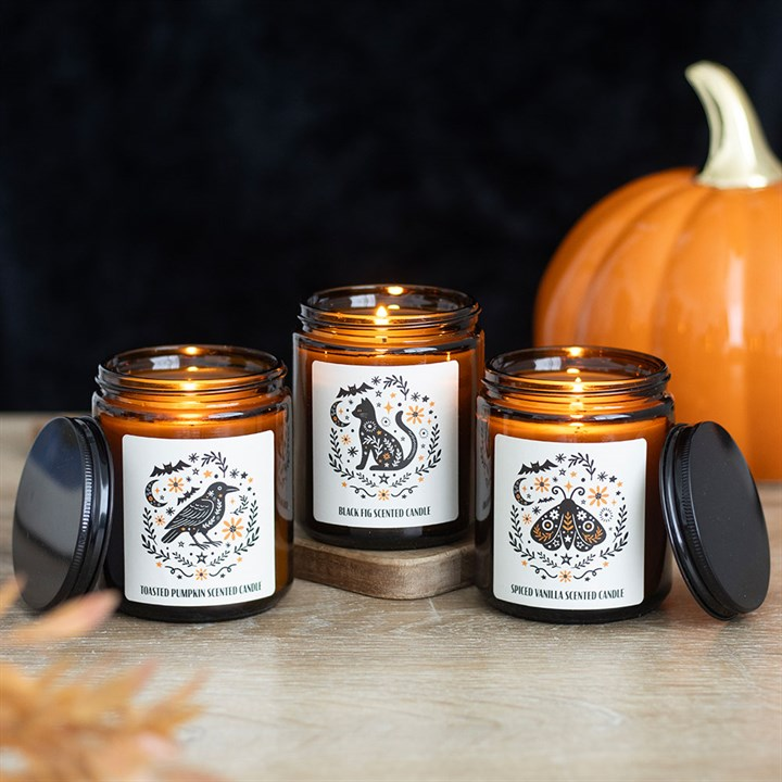 Frightful Folk Raven Toasted Pumpkin Scented Candle, image 5 of 5