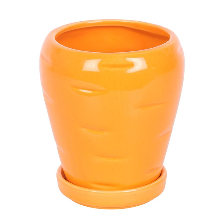 Carrot Shaped Plant Pot with Parsley Seed Balls, image 3 of 5