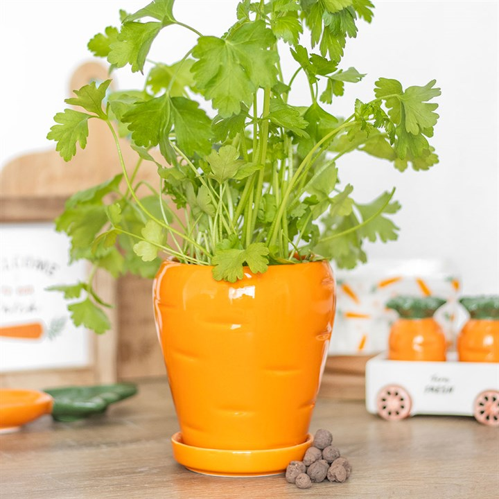 Carrot Shaped Plant Pot with Parsley Seed Balls, image 1 of 5