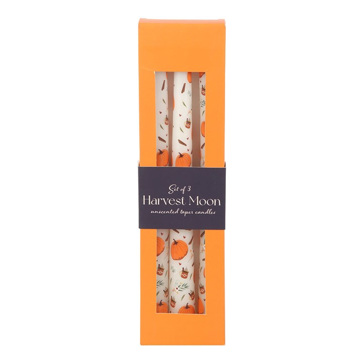 Set of 3 Pumpkin Taper Candles, image 2 of 4