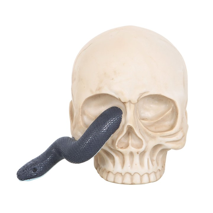 Skull Ornament with Snake, image 2 of 5