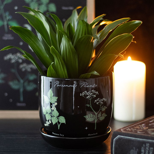 Poisonous Plants Plant Pot, image 1 of 5
