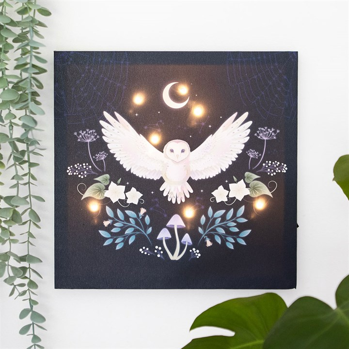 Night Owl Light Up Canvas Plaque, image 1 of 4