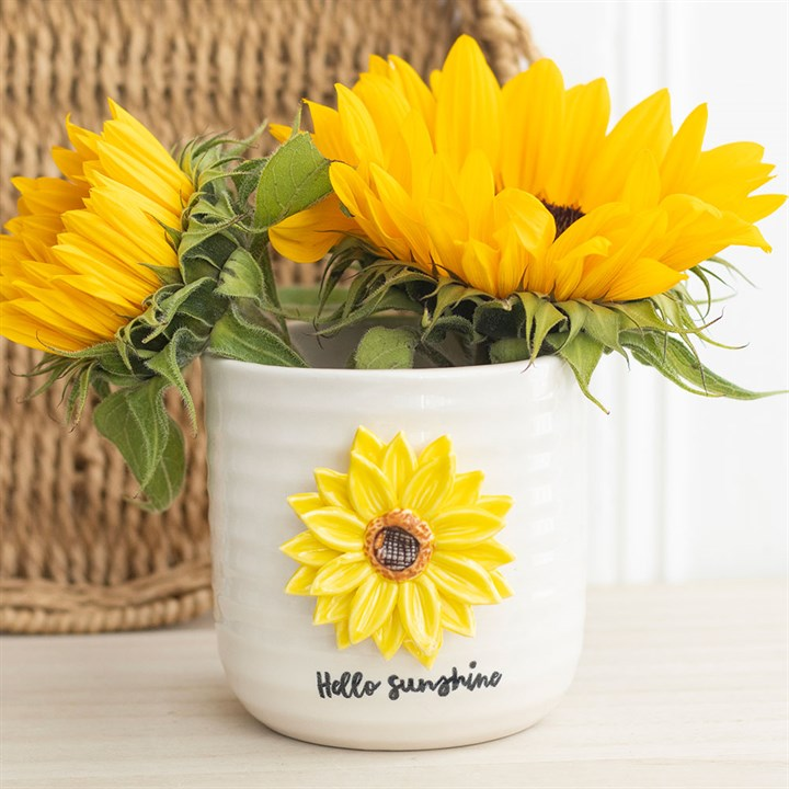 Hello Sunshine Plant Pot with 3D Sunflower, image 1 of 6