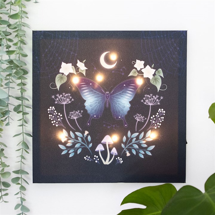 Midnight Moth Light Up Canvas Plaque, image 1 of 4