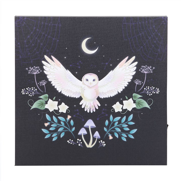Night Owl Light Up Canvas Plaque, image 2 of 4