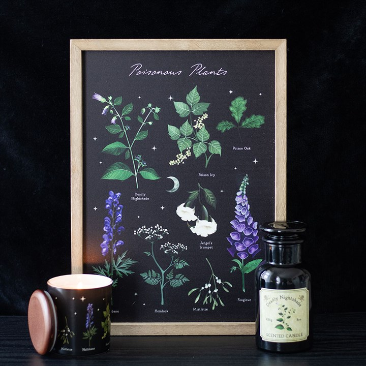 Poisonous Plants Framed Wall Art Print, image 1 of 4