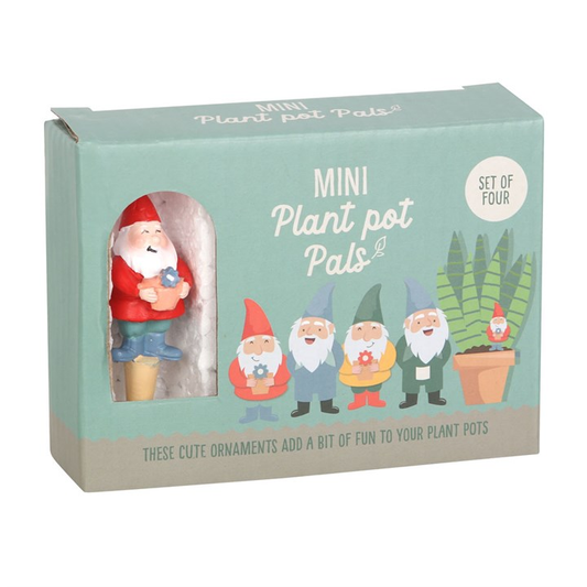 Set of 4 Mini Gnome Plant Pot Pals, image 1 of 6