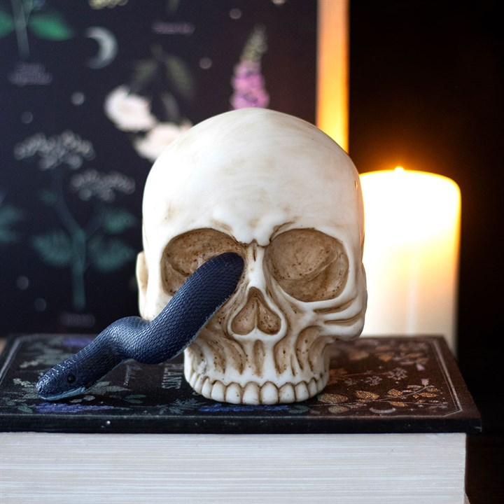 Skull Ornament with Snake, image 1 of 5