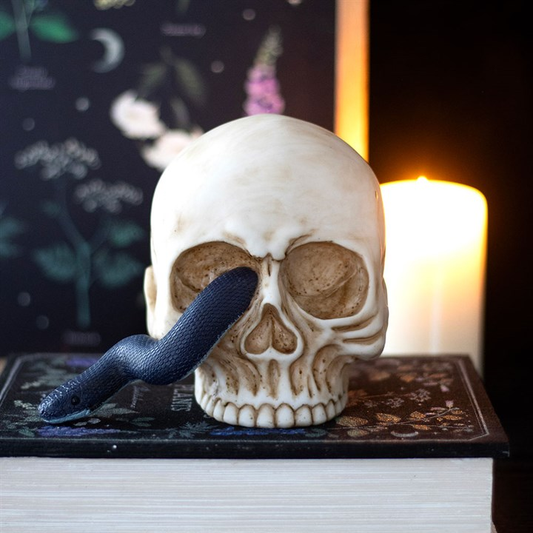 Skull Ornament with Snake, image 1 of 5