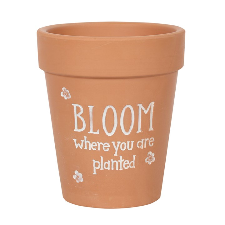 Bloom Where You Are Planted Terracotta Plant Pot, image 1 of 3