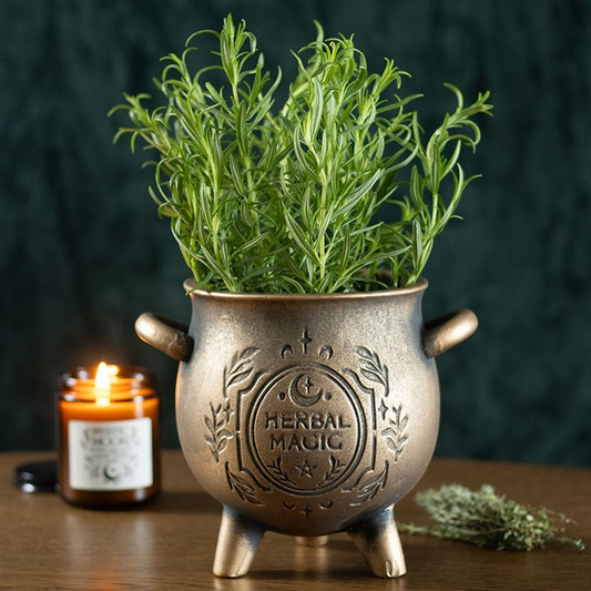 Herbal Magic Bronze Effect Terracotta Cauldron Plant Pot, image 1 of 6