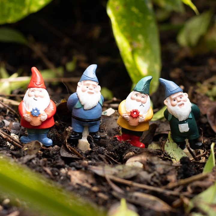 Set of 4 Mini Gnome Plant Pot Pals, image 5 of 6