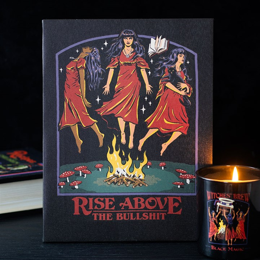 19x25cm Rise Above the Bullsh*t Canvas Plaque by Steven Rhodes, image 1 of 4