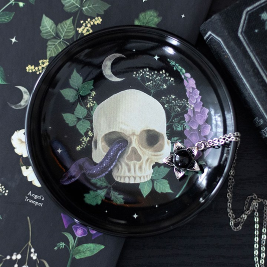 Venom & Vines Skull Trinket Dish, image 1 of 4
