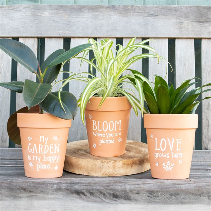 Bloom Where You Are Planted Terracotta Plant Pot, image 3 of 3