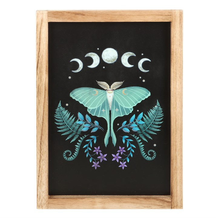 Luna Moth Wooden Framed Wall Art, image 2 of 4