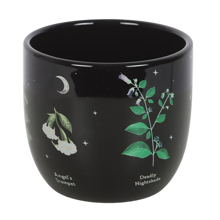 Poisonous Plants Plant Pot, image 3 of 5