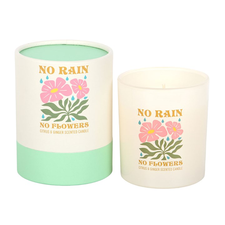 No Rain, No Flowers Citrus & Ginger Candle, image 3 of 6