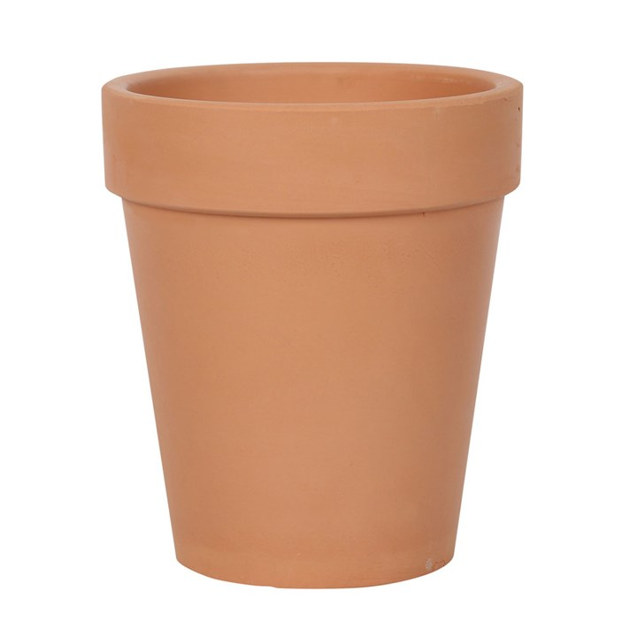 Bloom Where You Are Planted Terracotta Plant Pot, image 2 of 3