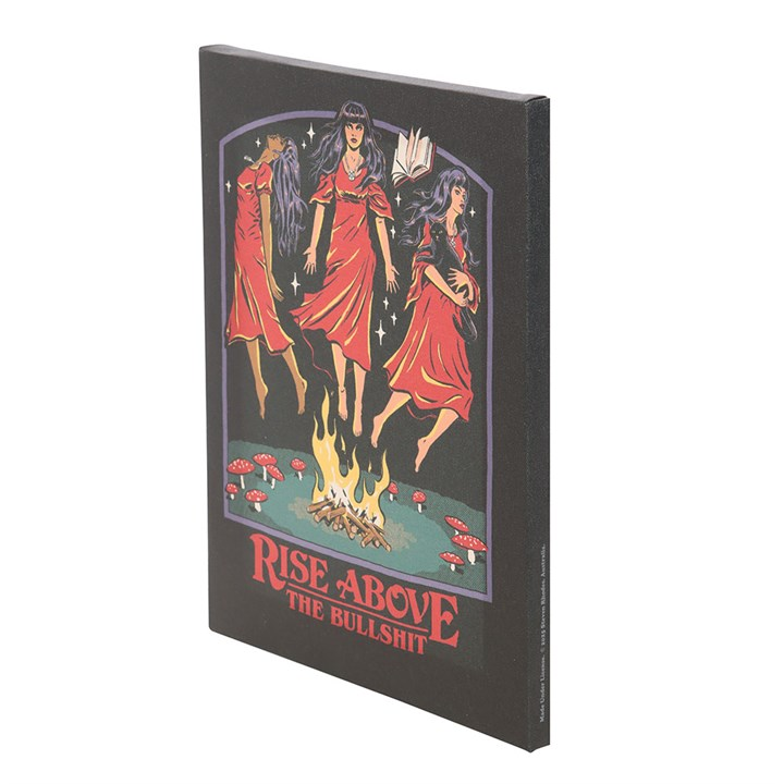 19x25cm Rise Above the Bullsh*t Canvas Plaque by Steven Rhodes, image 3 of 4
