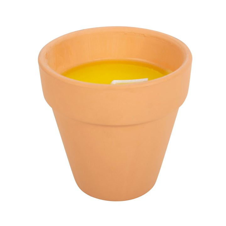 Gardener of the Year Citronella Candle, image 3 of 5