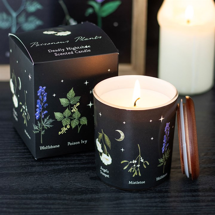 Deadly Nightshade Scented Candle, image 1 of 5