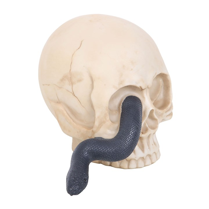 Skull Ornament with Snake, image 3 of 5