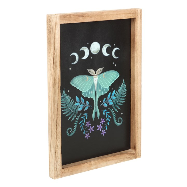 Luna Moth Wooden Framed Wall Art, image 3 of 4