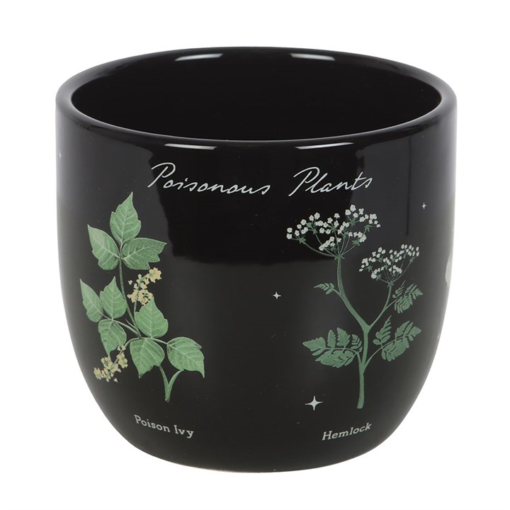 Poisonous Plants Plant Pot, image 2 of 5