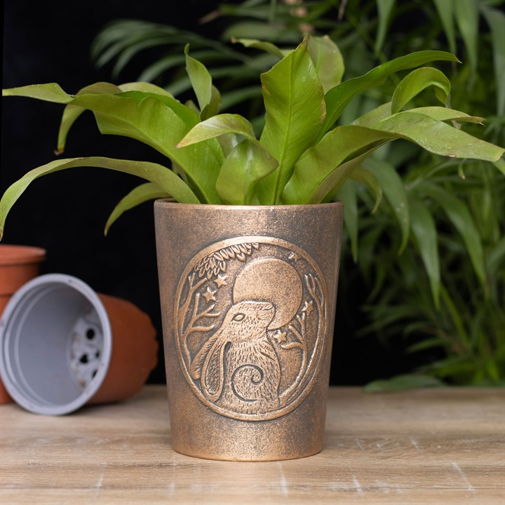 Moon Gazing Hare  Bronze Terracotta Plant Pot by Lisa Parker, image 4 of 5