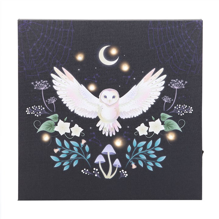Night Owl Light Up Canvas Plaque, image 3 of 4