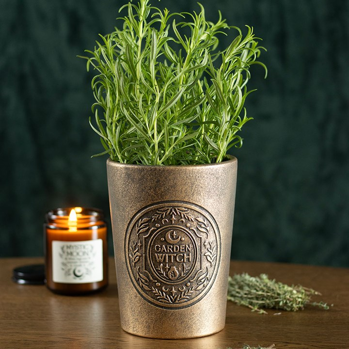 Garden Witch Bronze Effect Terracotta Plant Pot, image 1 of 6
