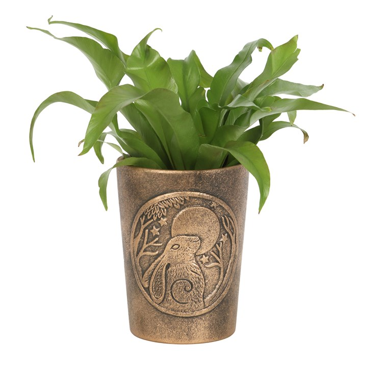Moon Gazing Hare  Bronze Terracotta Plant Pot by Lisa Parker, image 1 of 5