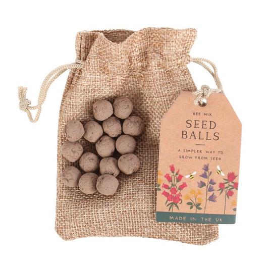 24 Garden Seed Balls in a Bag, image 1 of 3