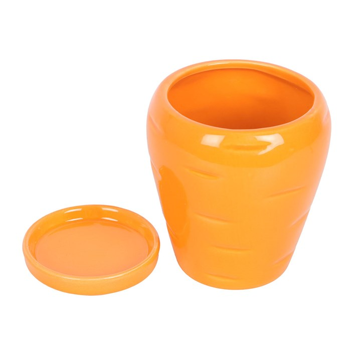 Carrot Shaped Plant Pot with Parsley Seed Balls, image 4 of 5