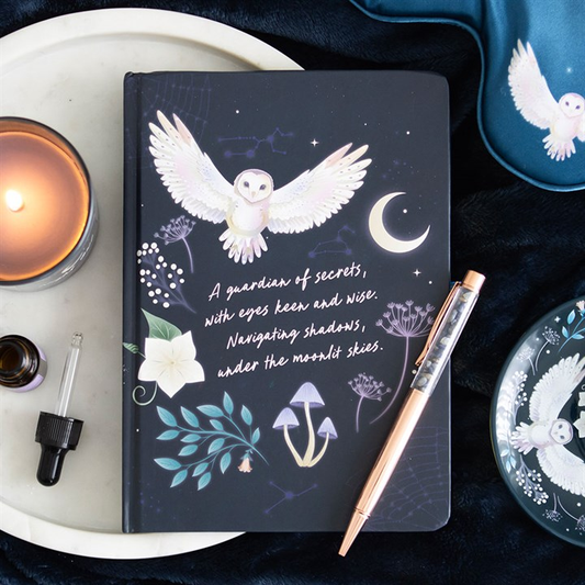 Night Owl Journal with Sodalite Pen, image 1 of 5