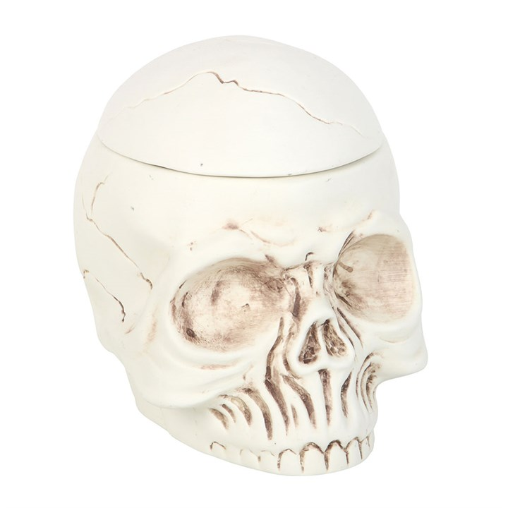 Weathered Skull Oil Burner and Wax Warmer, image 3 of 6