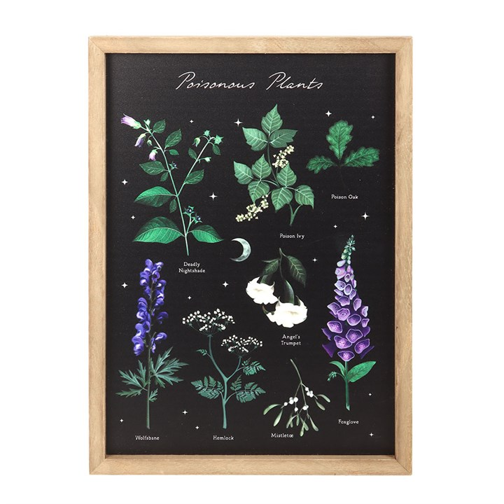 Poisonous Plants Framed Wall Art Print, image 2 of 4