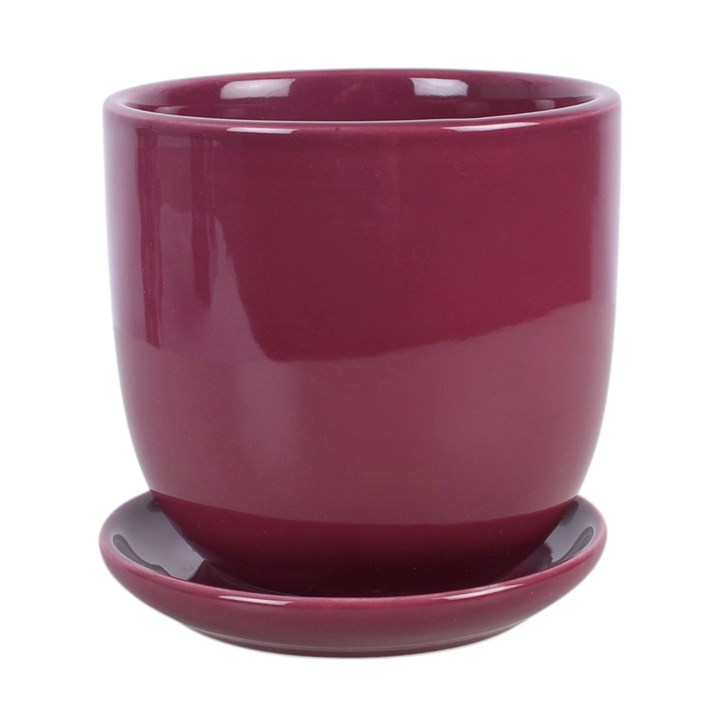 Sacred Sight Heart Plant Pot with Saucer, image 6 of 7