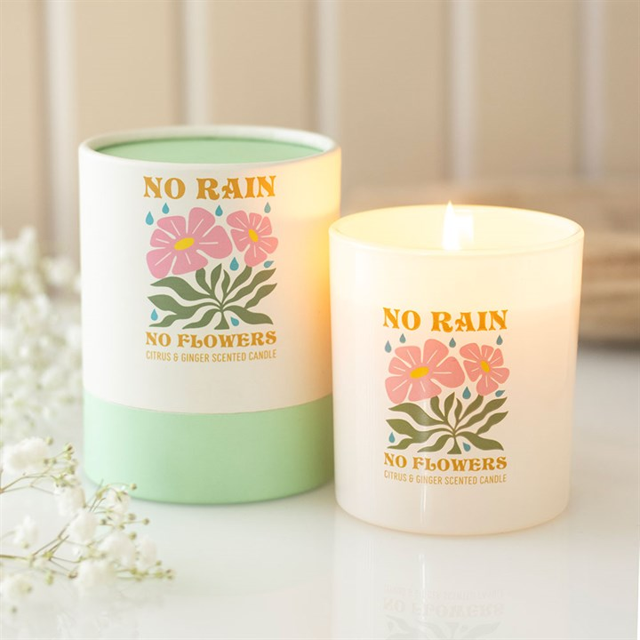 No Rain, No Flowers Citrus & Ginger Candle, image 2 of 6