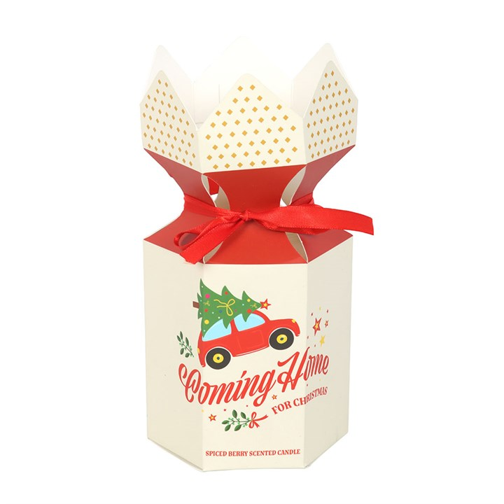 Coming Home for Christmas Spiced Berry Candle, image 4 of 5