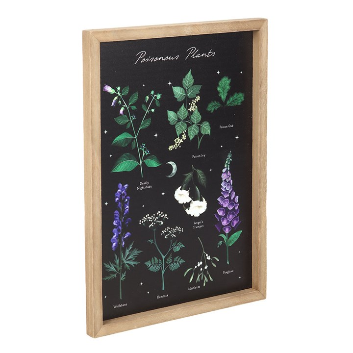 Poisonous Plants Framed Wall Art Print, image 3 of 4