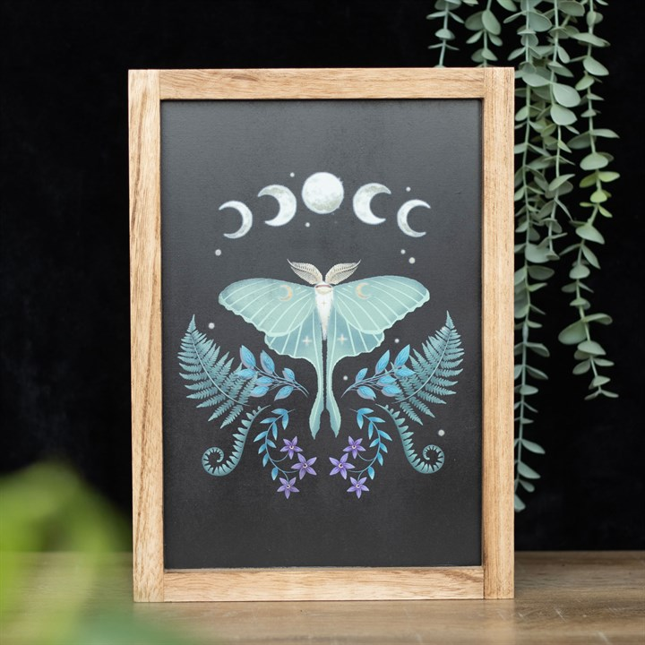 Luna Moth Wooden Framed Wall Art, image 1 of 4