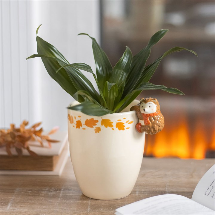 Autumn Plant Pot with Hedgehog, image 2 of 5