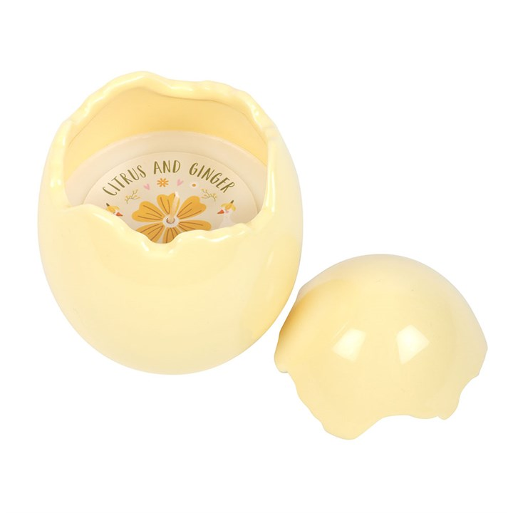 Citrus & Ginger Egg Shaped Candle, image 3 of 6