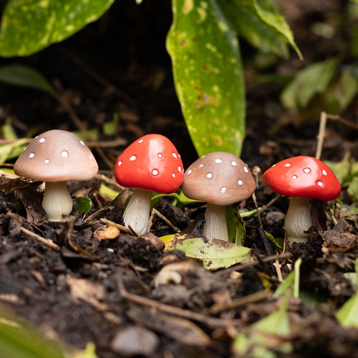 Set of 4 Mini Mushroom Plant Pot Pals, image 4 of 5
