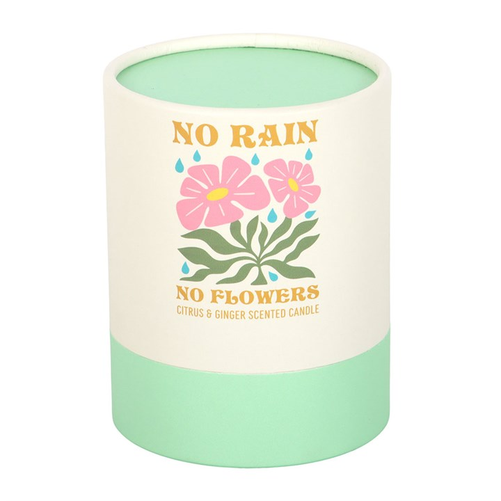 No Rain, No Flowers Citrus & Ginger Candle, image 5 of 6