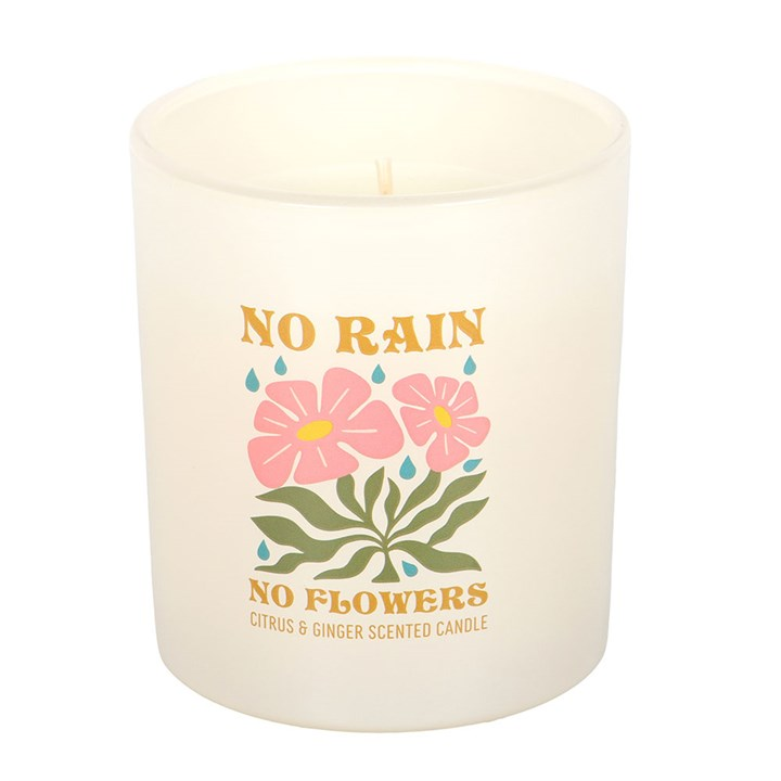 No Rain, No Flowers Citrus & Ginger Candle, image 4 of 6